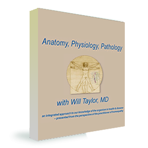 Anatomy, Physiology & Pathology